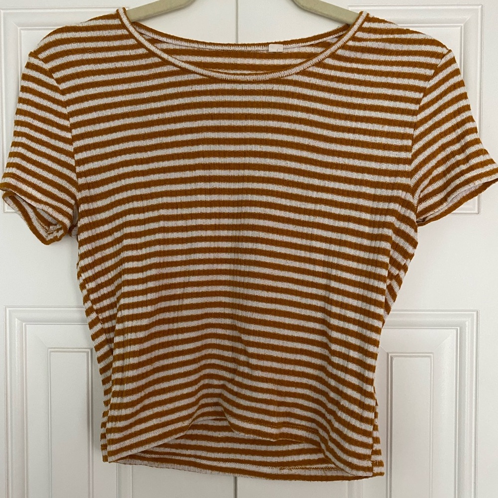 short sleeve crop top